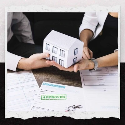 Insurance Law