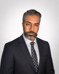 Sameh Abdeldayem Senior Legal Consultant